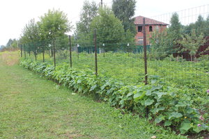 IMG_6491.JPG
