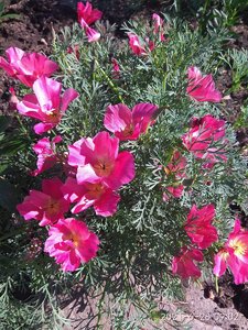 IMG_20210628_090216.jpg