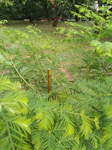 IMG_20210801_182251.jpg