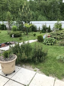 BA2C8895-7303-47F3-8B93-B269D44C2E30.jpeg