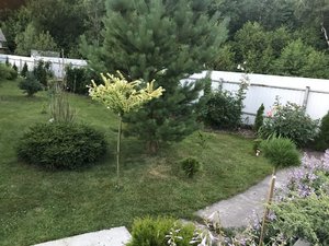 B5A0DE66-D7FD-4F26-805A-227305AC0398.jpeg