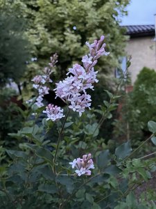 1285ABF3-261B-4378-9D78-295BEAB823EE.jpeg