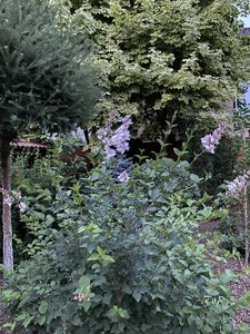 A20DBF84-E583-41E9-A423-5CFC6D4974E1.jpeg