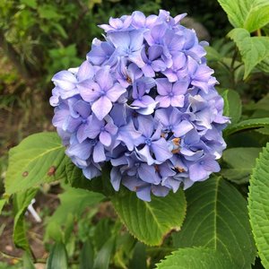 328DBE72-D01C-4813-BADC-F8AB6E203E90.jpeg