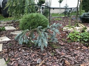7A17ED07-4AAB-4BDA-9077-5F40EC02BF7C.jpeg