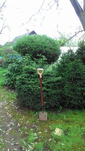 P_20200509_115528.jpg