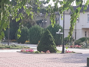 20210804_170459.jpg