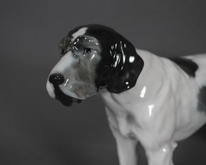 D757DBB0-B6CC-427C-843E-51C02BD68DD4.jpeg
