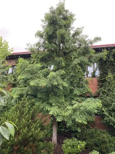 E69C7F1D-DF4D-4AB7-903C-4124FBC64872.jpeg