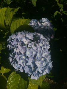 IMG_20210722_144205.jpg