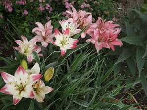 2021.08.10_ DSCF3720.JPG