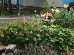 2021.08.10 Уч № 1 _  DSCF3831.JPG