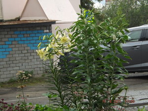 2021.08.10 Уч № 1 _ DSCF3832.JPG