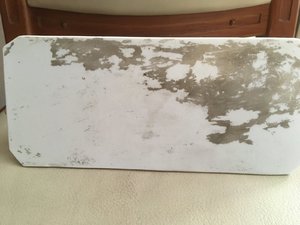 A898630B-E095-45E3-B5E0-F3A4DD2527A1.jpeg