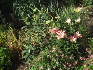 2021.08.07_  DSCF3656.JPG