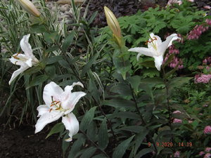 2020.09.09 Уч.№ 1 _ DSCF9346.JPG
