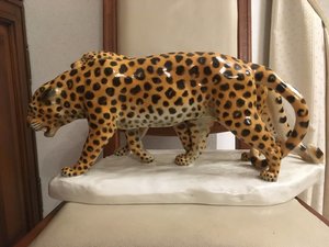 75D32C0E-ADA5-4B21-B8DA-FA4D10806E56.jpeg