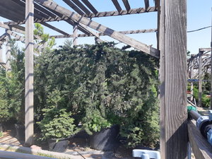 20210817_104147.jpg