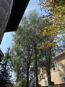 2803D345-9E53-473C-8D67-B65385AEB286.jpeg