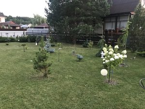 1AF287F2-B206-44B8-A490-A6BF131B1380.jpeg