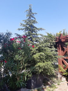 20210817_105938.jpg