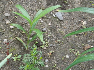 2021.08.10_ DSCF3723.JPG