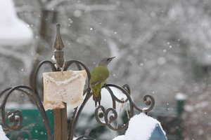 IMG_3958.JPG