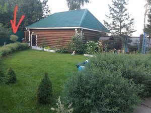 20210820_154516.jpg