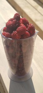 IMG-20210815-WA0000.jpg