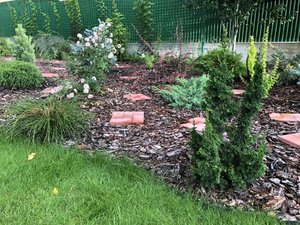 IMG_1142.JPG