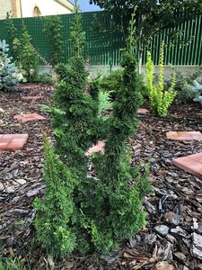 IMG_1143.JPG
