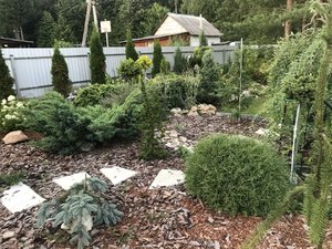 A0480B1D-0657-45E7-9A56-A1740CB9C7DE.jpeg