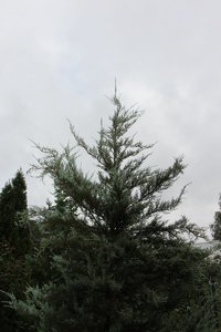 IMG_9412.JPG