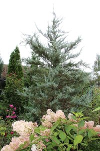 IMG_9411.JPG