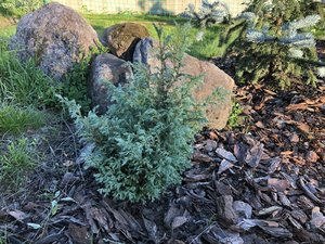 IMG_1019.JPG