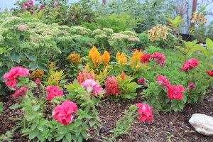 IMG_6632.JPG