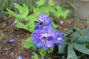 IMG_6662.JPG