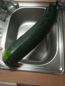 IMG-20210824-WA0025.jpeg