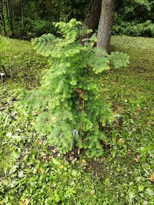 IMG_20210830_124755.jpg