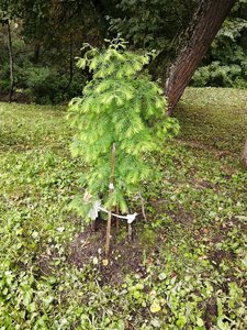 IMG_20210830_124804.jpg