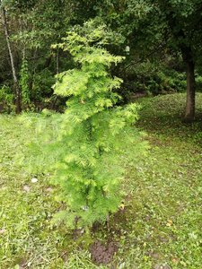 IMG_20210830_124820.jpg