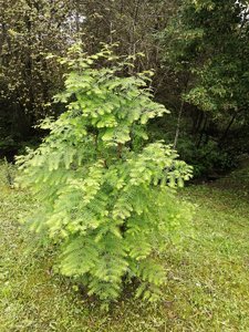 IMG_20210830_124828.jpg
