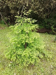 IMG_20210830_124845.jpg
