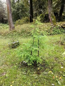 IMG_20210830_124916.jpg