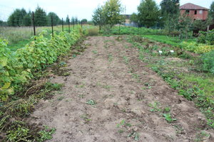 IMG_6772.JPG