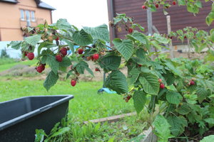 IMG_6759.JPG