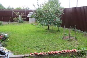 IMG_6763.JPG