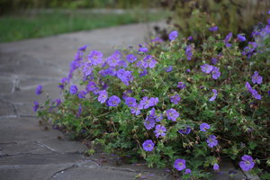 IMG_5744.JPG