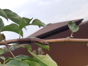 20210830_141302.jpg