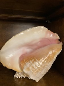 8C00D850-C6D5-46CB-9671-302E7CDC0AE1.jpeg